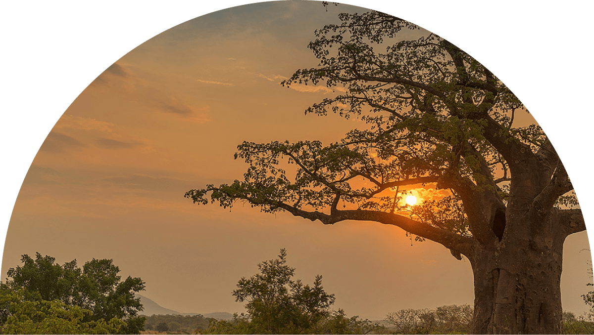 Expand into Angola Atlas